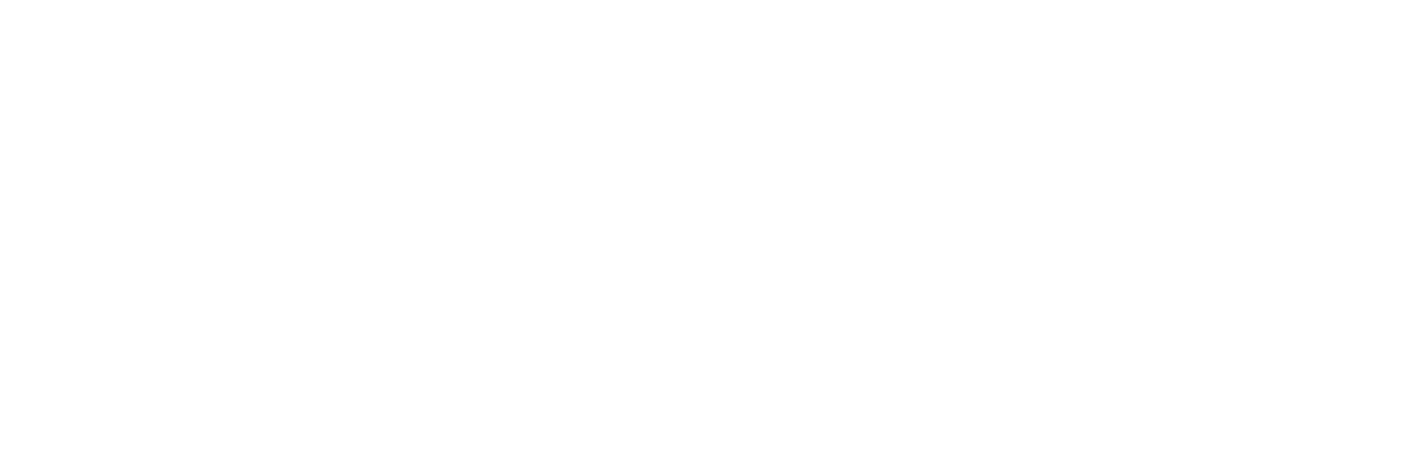 LOGO-NOWALTZ-blanc-02